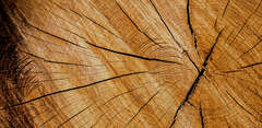 home wood background